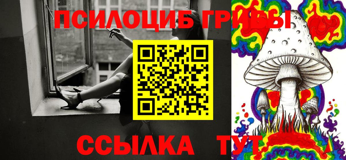 Псилоцибиновые грибы прущие грибы  Вход с VPN  Воткинск 